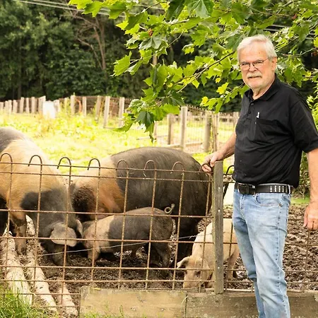 Wirtshaus Jagawirt بيت ريفي 3*