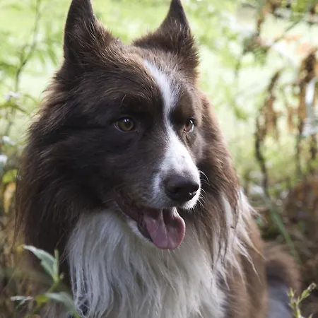 Inn Wirtshaus Jagawirt Sommereben