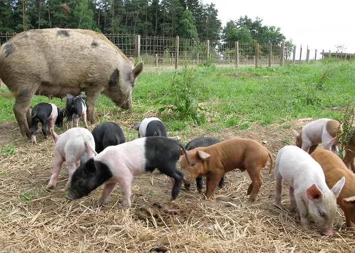 بيت ريفي Wirtshaus Jagawirt 3*