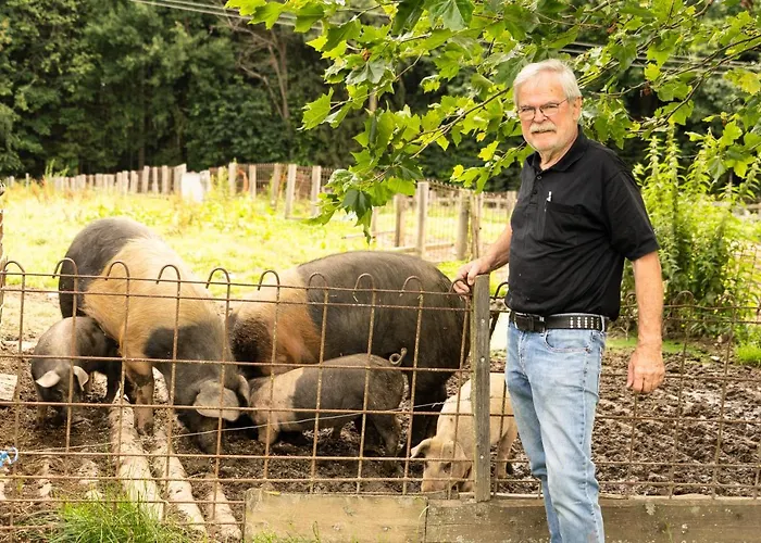 Wirtshaus Jagawirt Locanda 3*