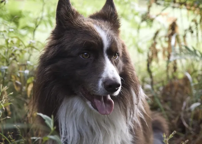 بيت ريفي Wirtshaus Jagawirt Sommereben